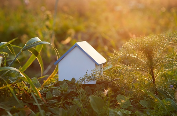 Eco-friendly,Home,Among,Leaves,And,Greenery,Of,Nature.,Model,Of